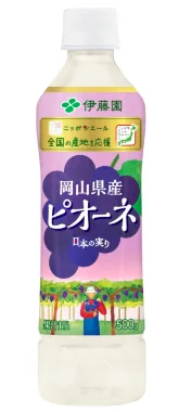 ニッポンエール 岡山県産ピオーネ 500g