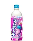 グレープラムボトル 500g
