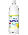 伊賀の天然水強炭酸水 グレープフルーツ 1000ml