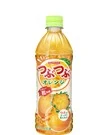 つぶつぶオレンジ 500ml
